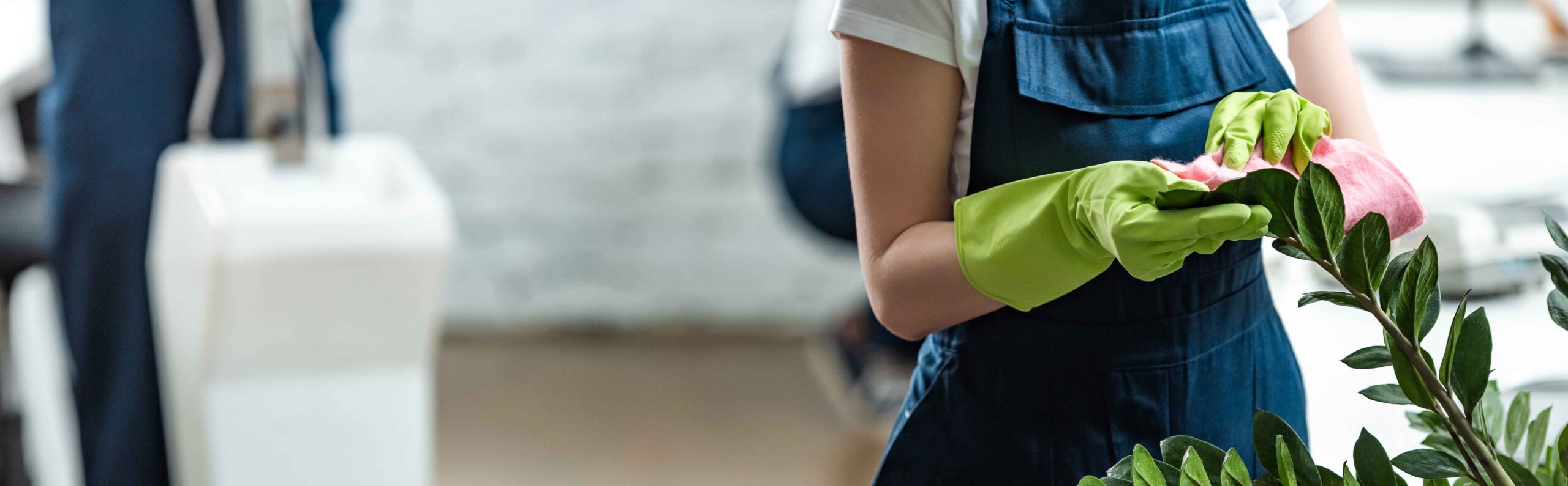 cropped-view-cleaner-overalls-cleaning-plant-office-panoramic-shot_11zon
